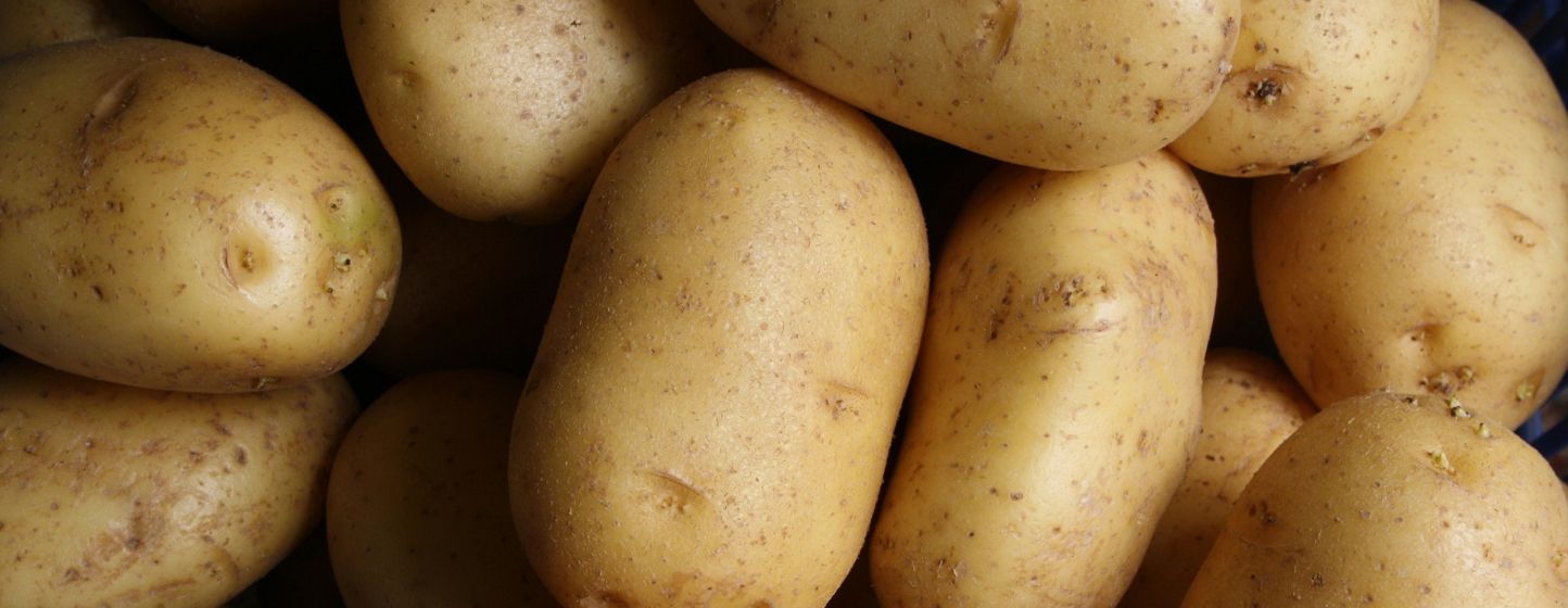 Gran Canaria delays potato planting after heavy rainfall