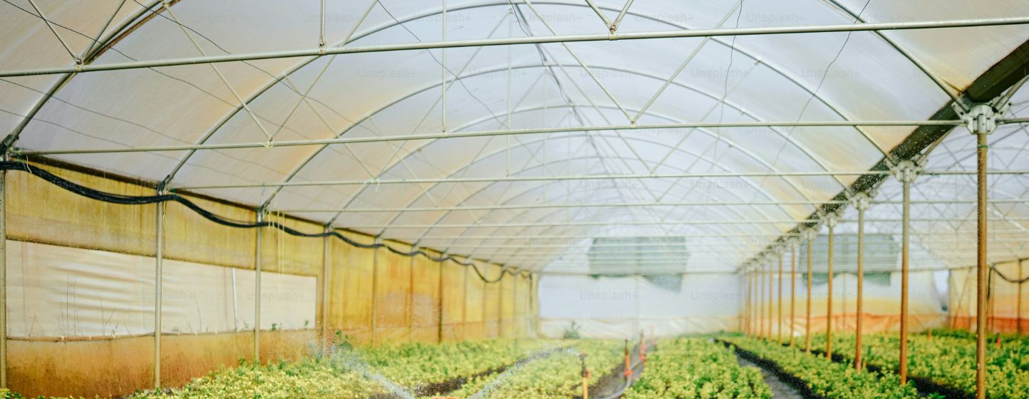Reconnaissance officielle pour la serre de tomates à faible empreinte carbone