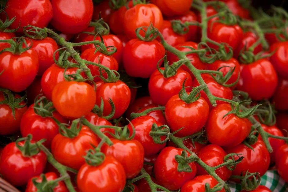 Les prix des tomates baissent de 13 % à 45 % en décembre 2024 par rapport à l'année dernière