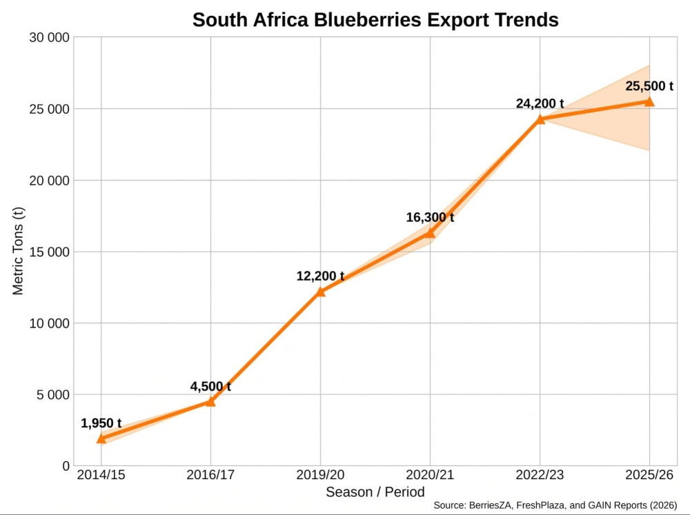 One Continent, Two Blueberry Models : How North and Southern Africa are building the next chapter of the blueberry industry