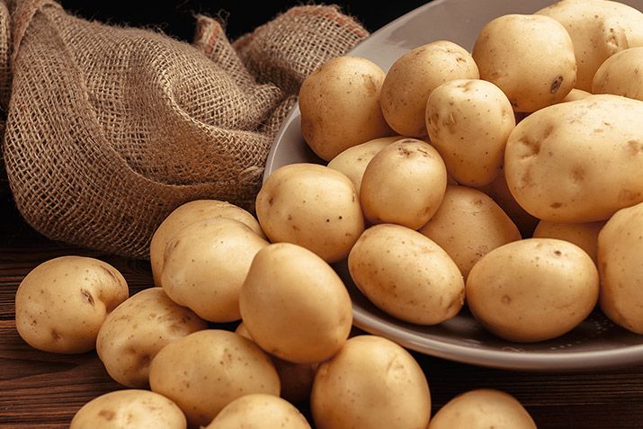 Berkane : forte hausse des superficies de pommes de terre après les récentes pluies