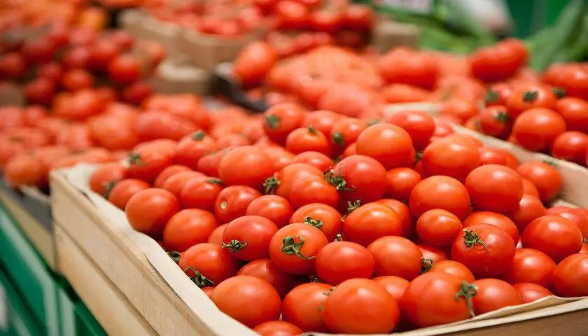 Drought and Labor Shift Challenge Morocco’s Tomato Industry