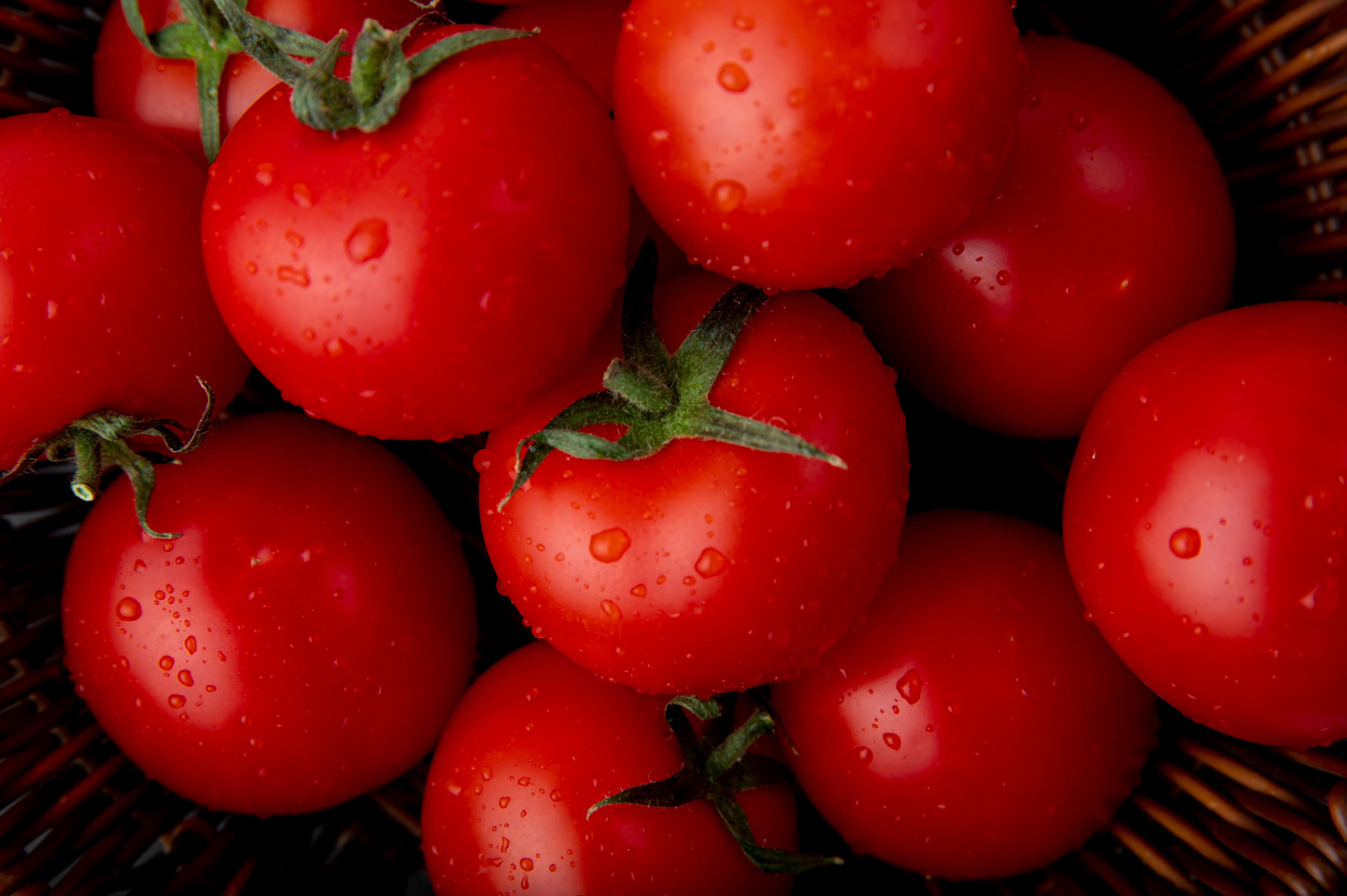 Moroccan Tomatoes: APEFEL Denounces a European Media Campaign Deemed Unfounded