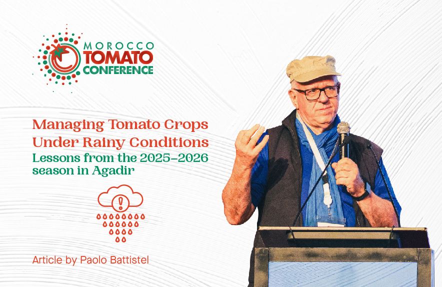 Gestion de la culture de la tomate en conditions pluvieuses