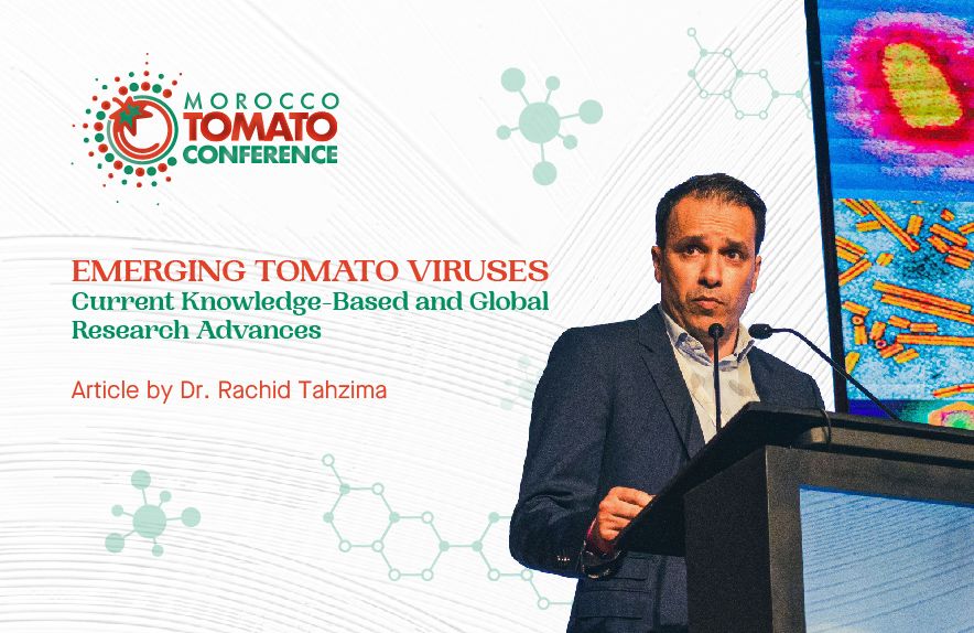 Virus Emergents de la Tomate : Avancées et Perspectives de la Recherche Globale