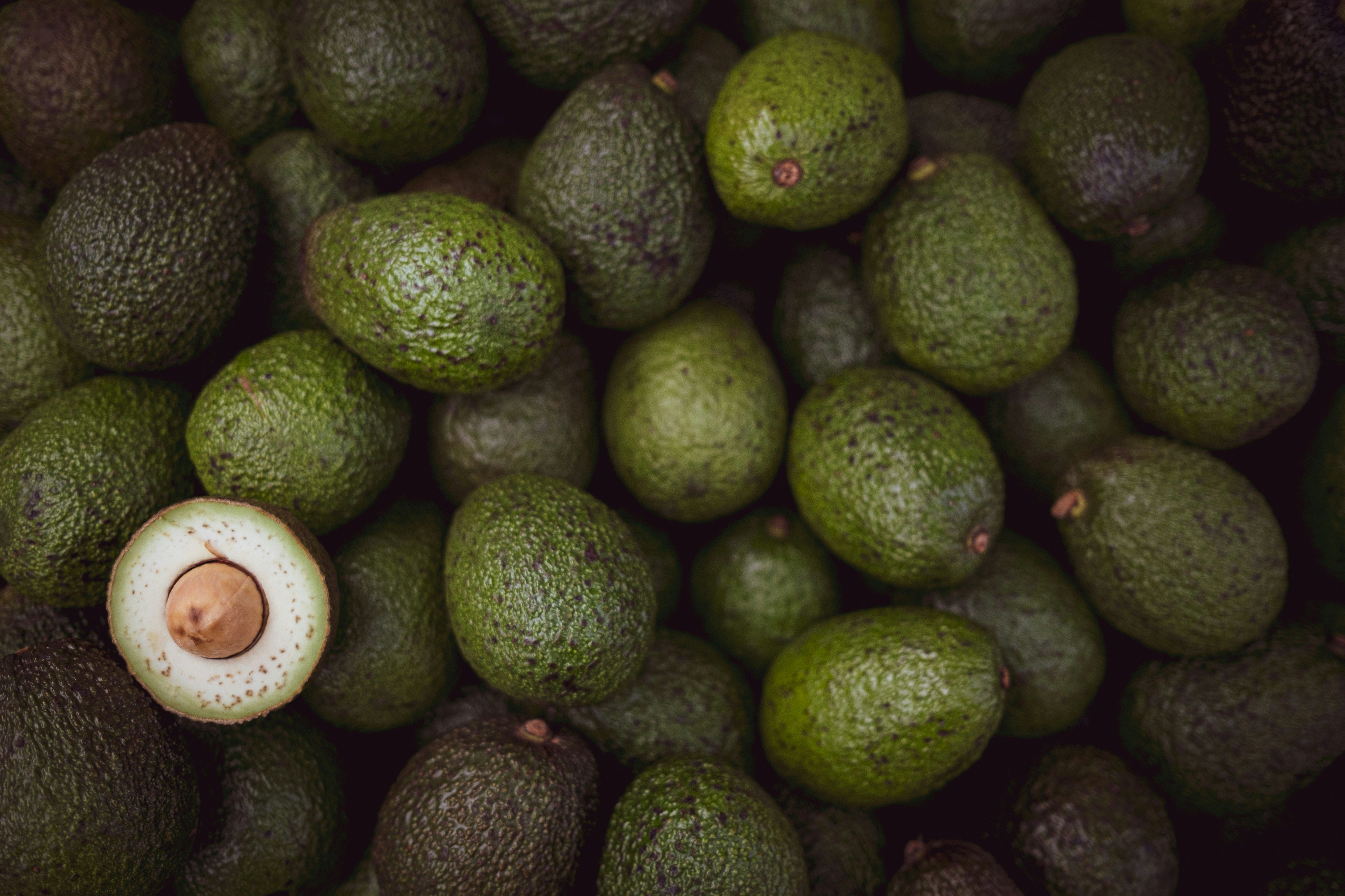 Avocat : recul marqué de la production marocaine après une saison sous pression climatique