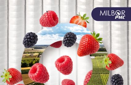 Comment la technologie répond aux défis du conditionnement des fruits rouges