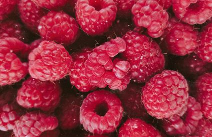 Framboise : un marché mondial sous pression entre climat, logistique et pénurie de main-d’œuvre