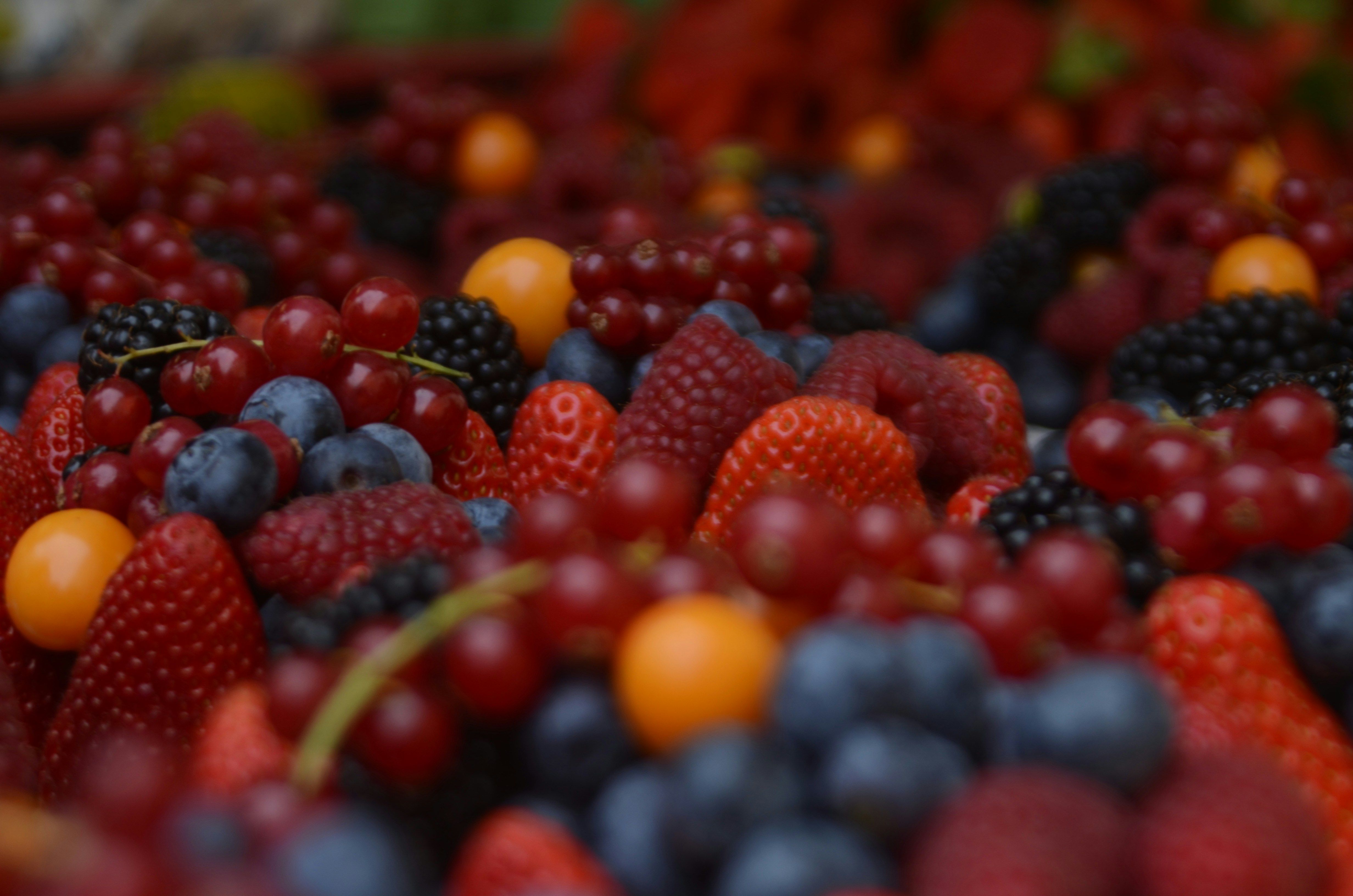 Huelva: Storms Cause a 50% Drop in Berry Exports