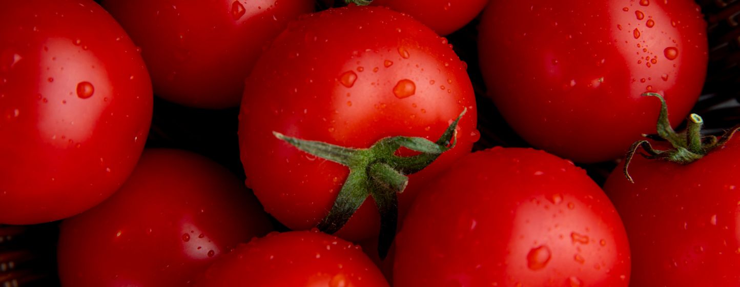 Moroccan Tomatoes: APEFEL Denounces a European Media Campaign Deemed Unfounded