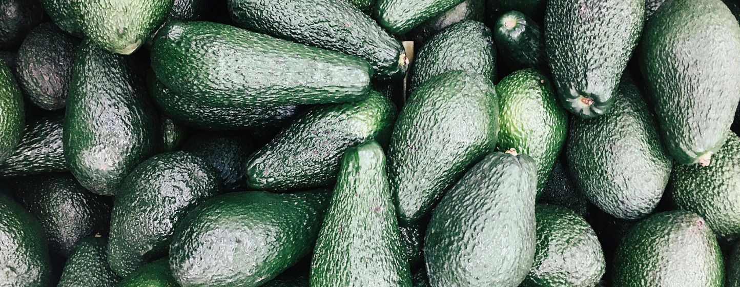 Avocat : le Maroc double ses exportations et signe un record historique en 2024/2025