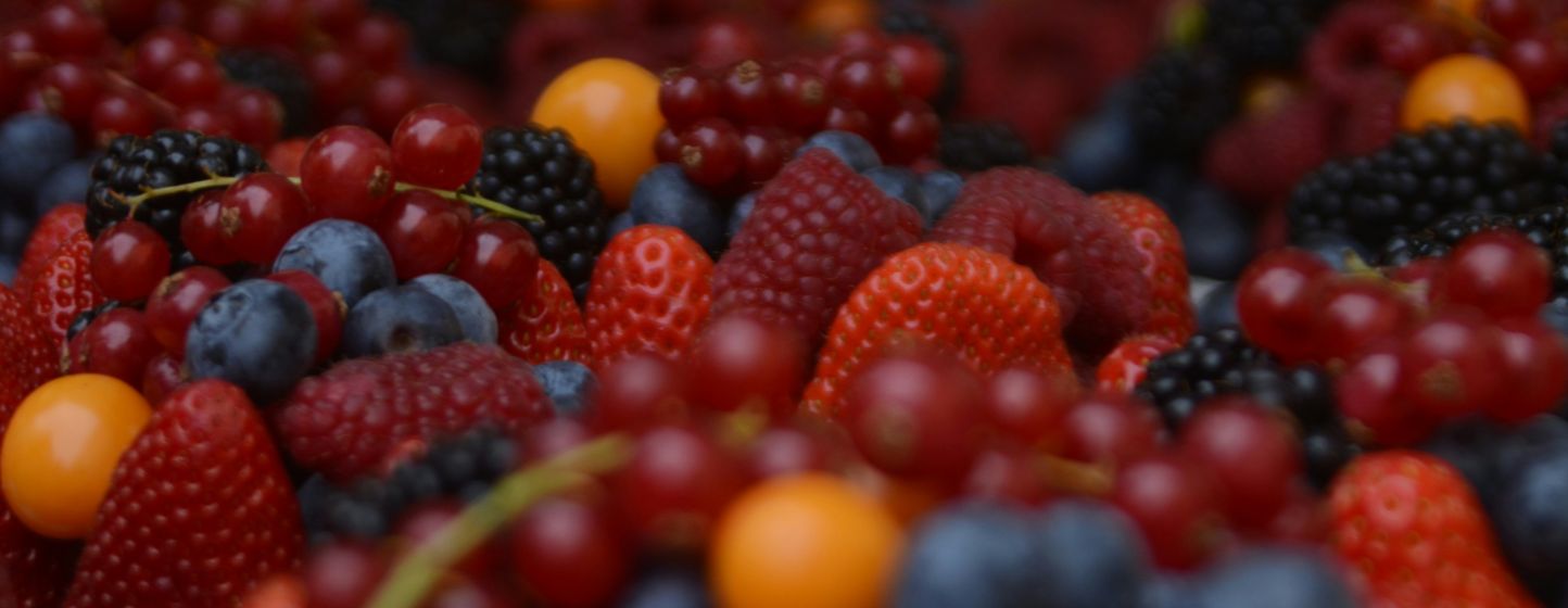 Huelva : les tempêtes font chuter de 50 % les exportations de fruits rouges