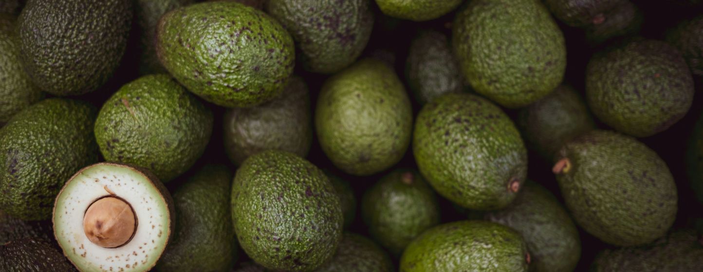 Avocat : recul marqué de la production marocaine après une saison sous pression climatique