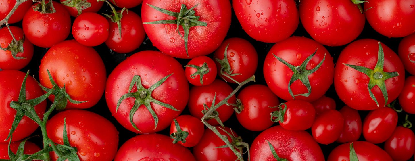 Exploring New Ways to Package Tomatoes