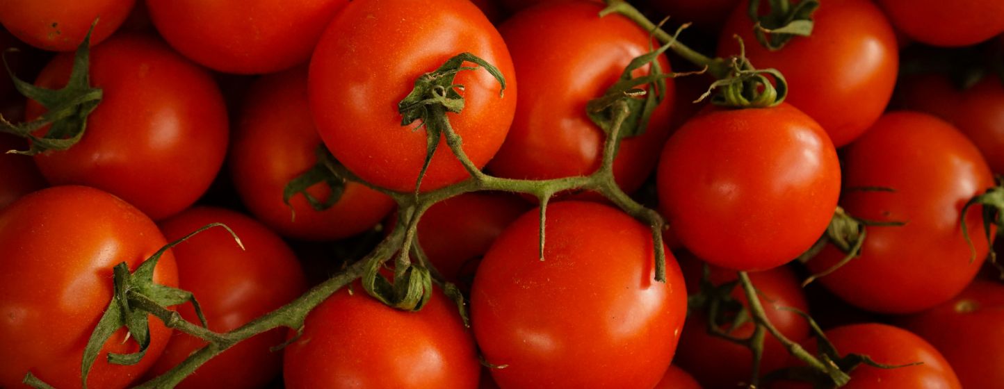 Marché mondial de la tomate : tensions sur l’offre et nouvelles pressions sur les prix