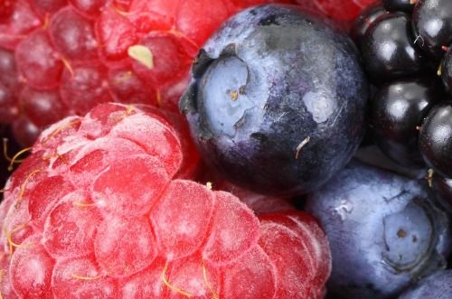 Moroccan berries are creating a buzz among European consumers