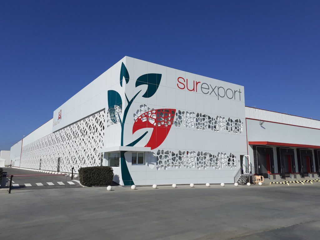 Surexport acquires the Dutch strawberry producer Jong Fruit