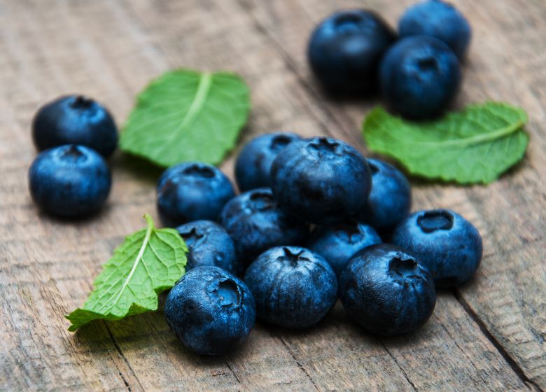 The surge of blueberry cultivation from Morocco in Southeast Asia