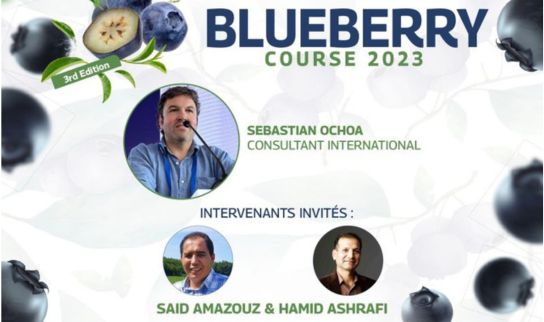 Blueberry Course 2023 - Techniques de production de la myrtille pour obtenir des fruits de bonne qualité