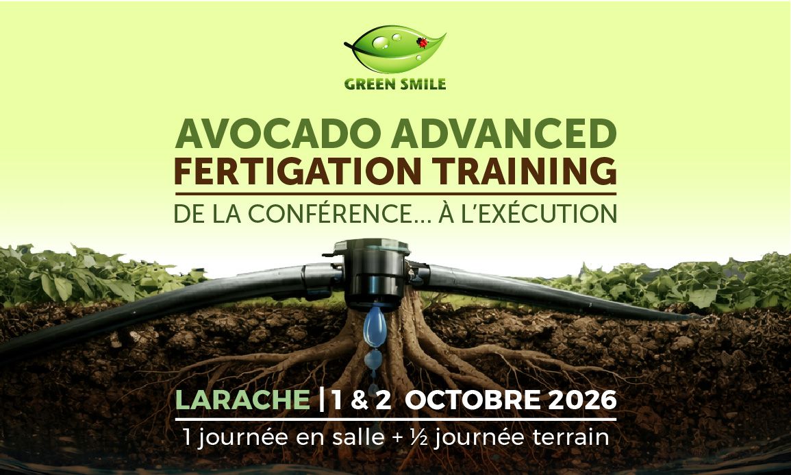 Avocado Advanced Fertigation Training (Formation avancée en fertigation de l’avocatier)