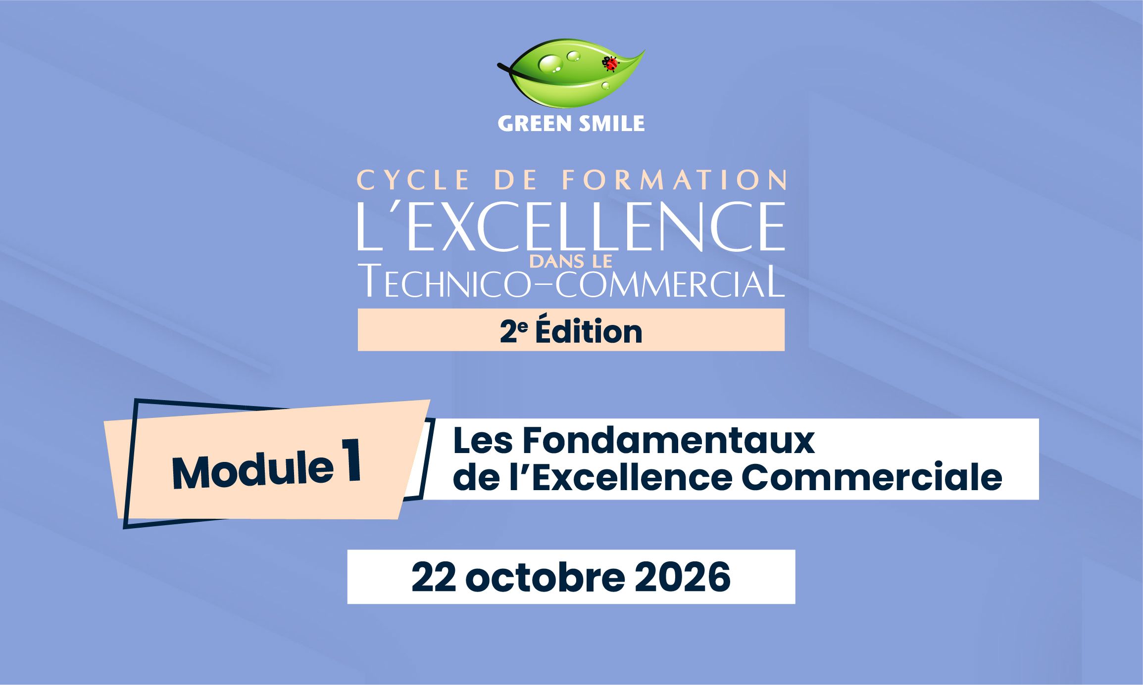 Cycle de formation continue - Module 1 : Fondamentaux de l'excellence commerciale