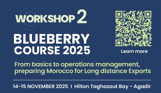 Blueberry Course 2025 : From basics to operations management, preparing Morocco for Long distance Exports