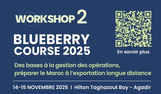 Blueberry Course 2025: Des bases à la gestion des opérations : Préparer le Maroc à l’exportation longue distance