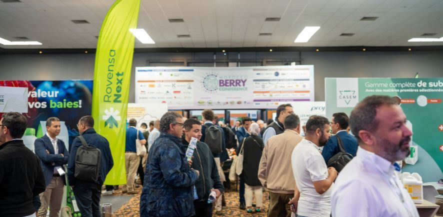 Morocco Berry Conference 2025