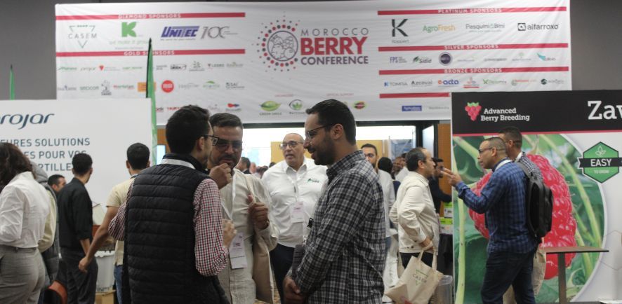 Morocco Berry Conference 2024