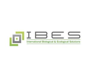 IBES logo