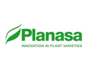 Planasa logo