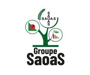 SAOAS logo
