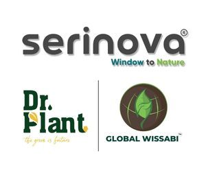 SERINOVA PLASTIK logo