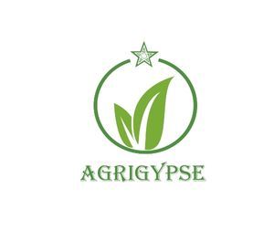 CMPE logo