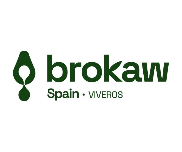 Brokaw logo