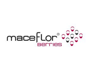 maceflor Berries logo