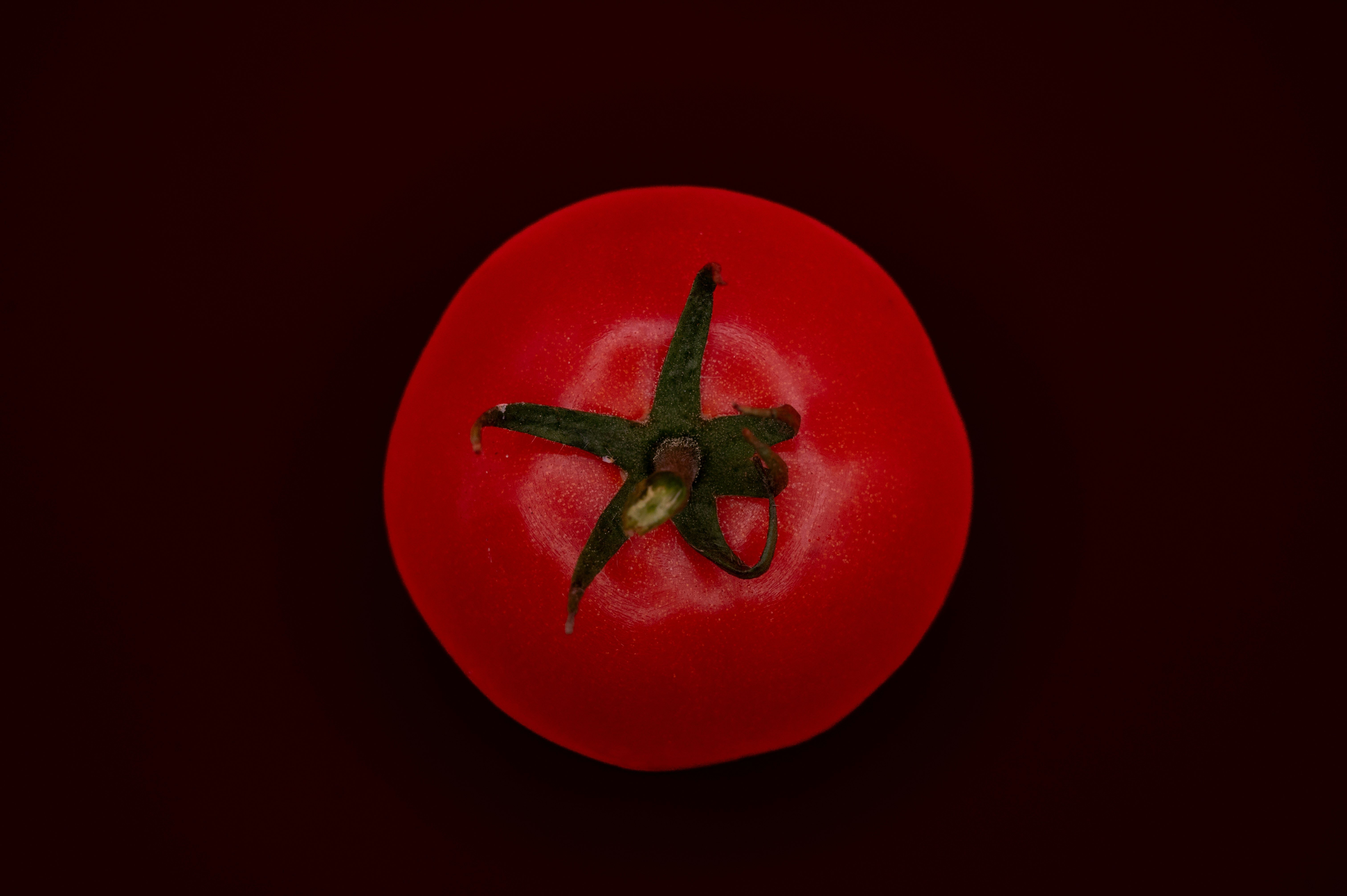 Une lignée de tomates vieille de trente ans s’avère résistante au ToBRFV
