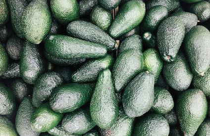 Avocat : le Maroc double ses exportations et signe un record historique en 2024/2025