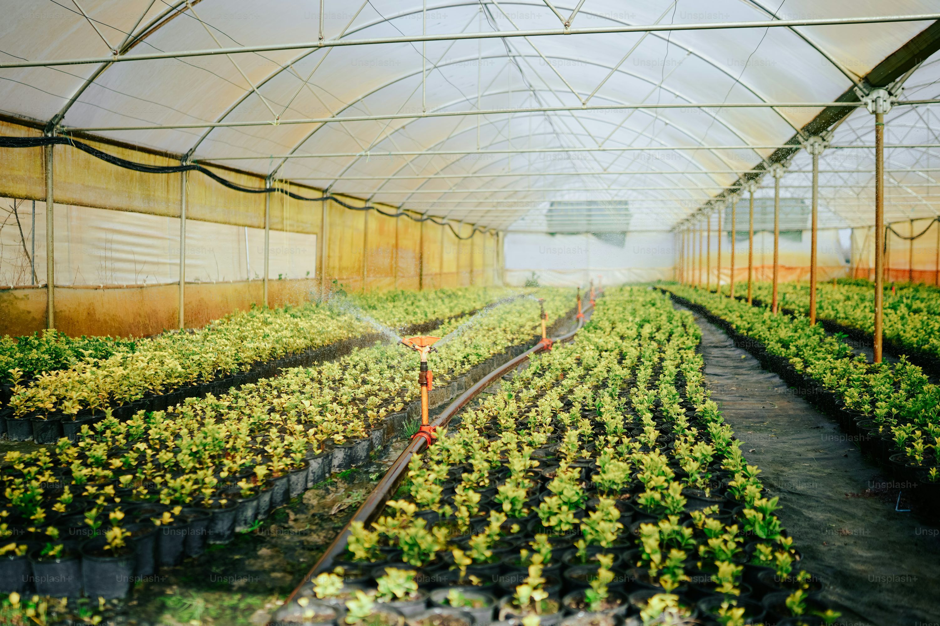 Reconnaissance officielle pour la serre de tomates à faible empreinte carbone