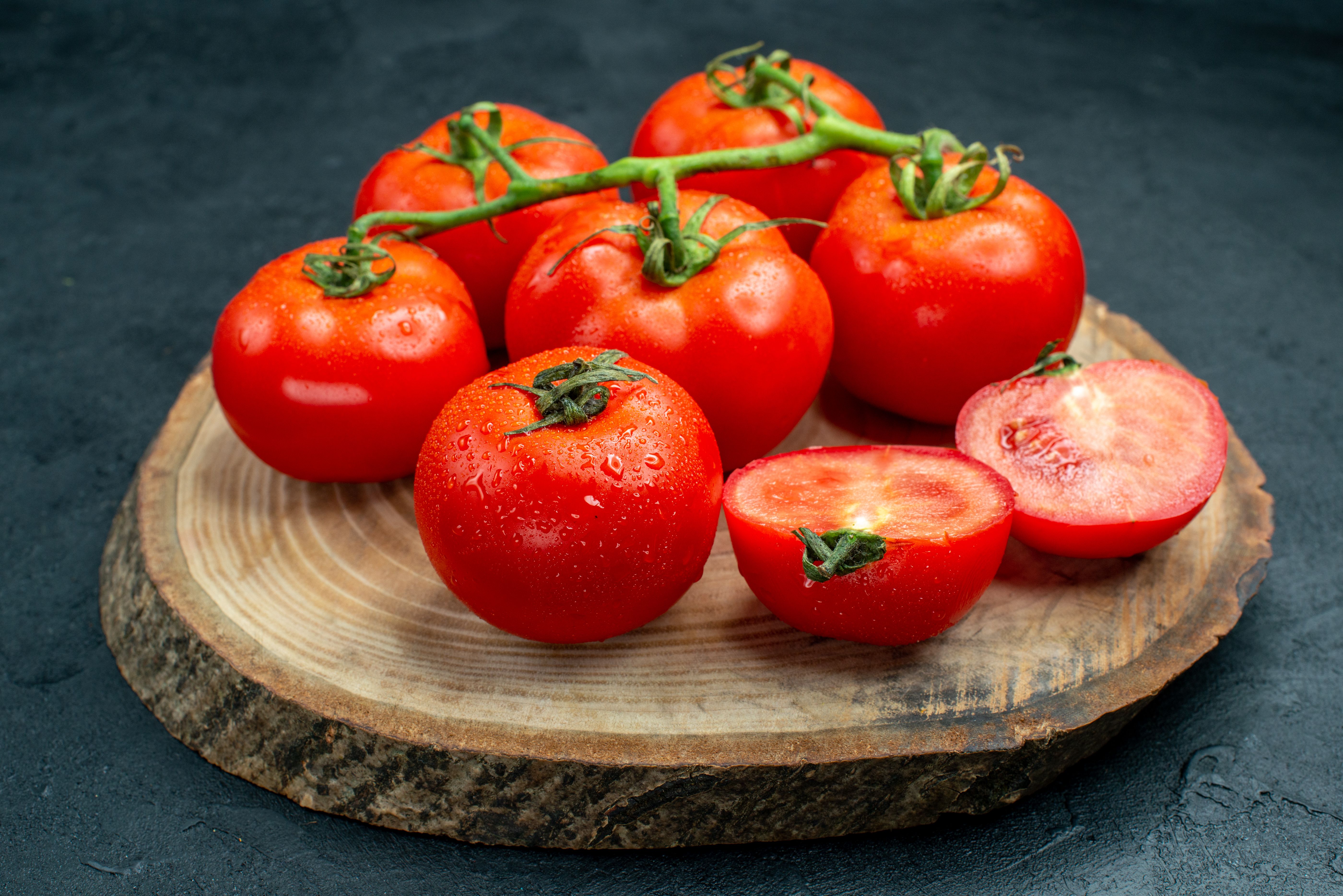 Tomates : le Maroc dépasse l’Espagne sur le marché européen