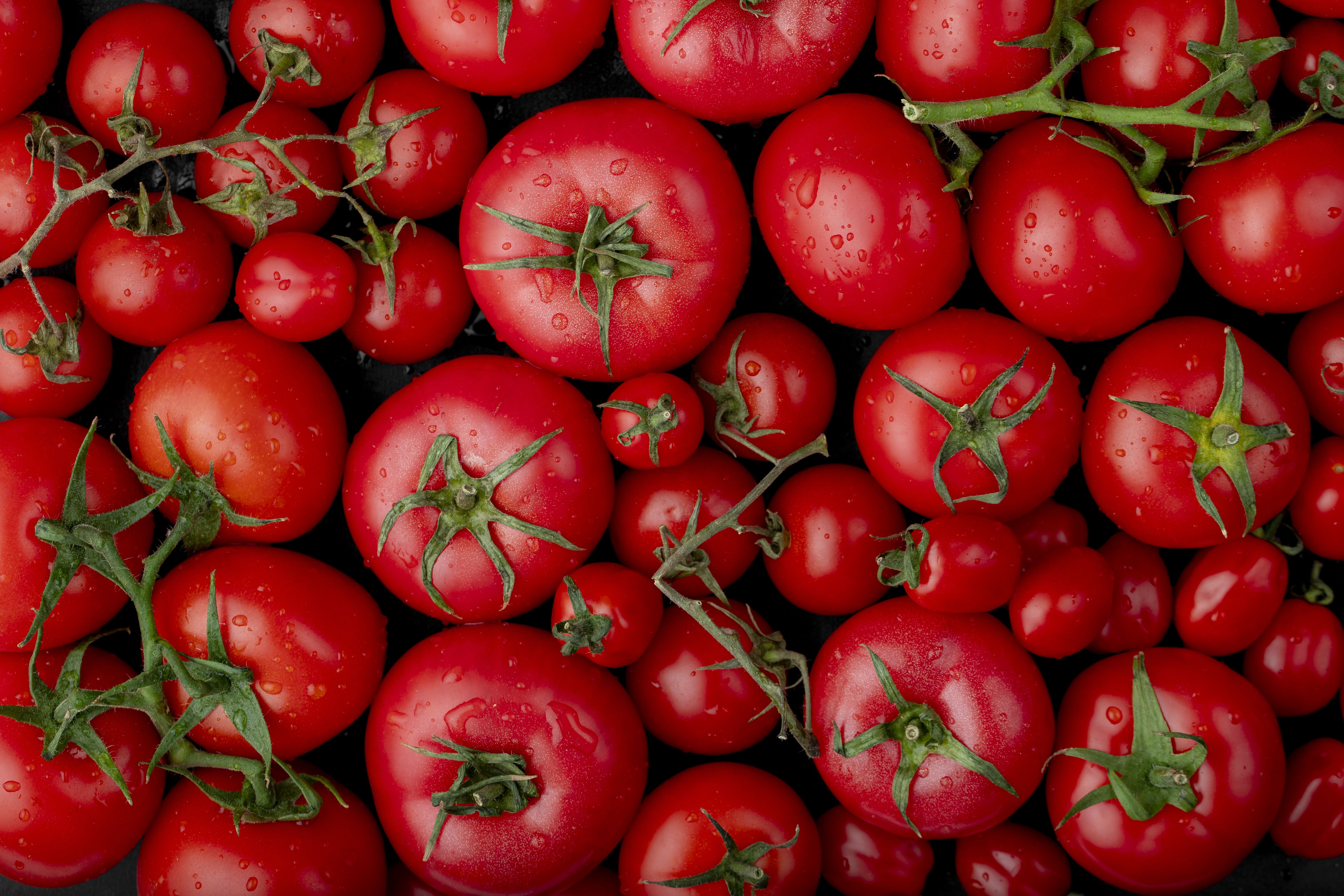 Explorer de nouvelles façons d’emballer les tomates