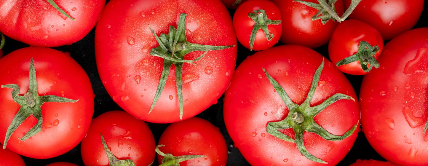 Le secteur roumain de la tomate se tourne vers des emballages à base de fibres