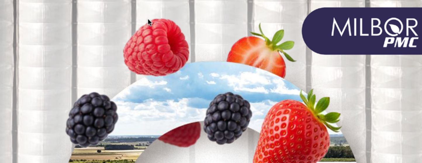 Comment la technologie répond aux défis du conditionnement des fruits rouges