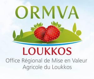 ORMVA logo