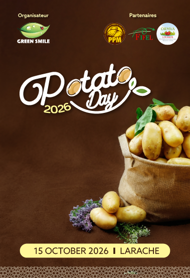 Potato Day 2026
