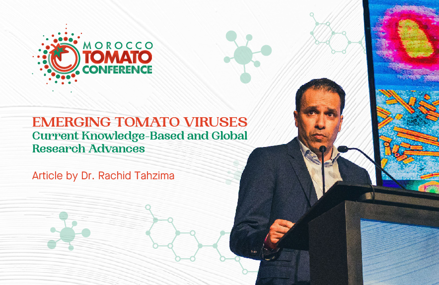 Virus Emergents de la Tomate : Avancées et Perspectives de la Recherche Globale