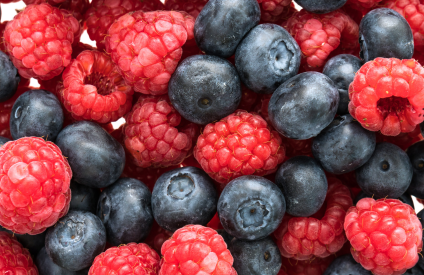 Gaz antimicrobiens et huiles essentielles : une nouvelle piste pour prolonger la durée de conservation des fruits rouges