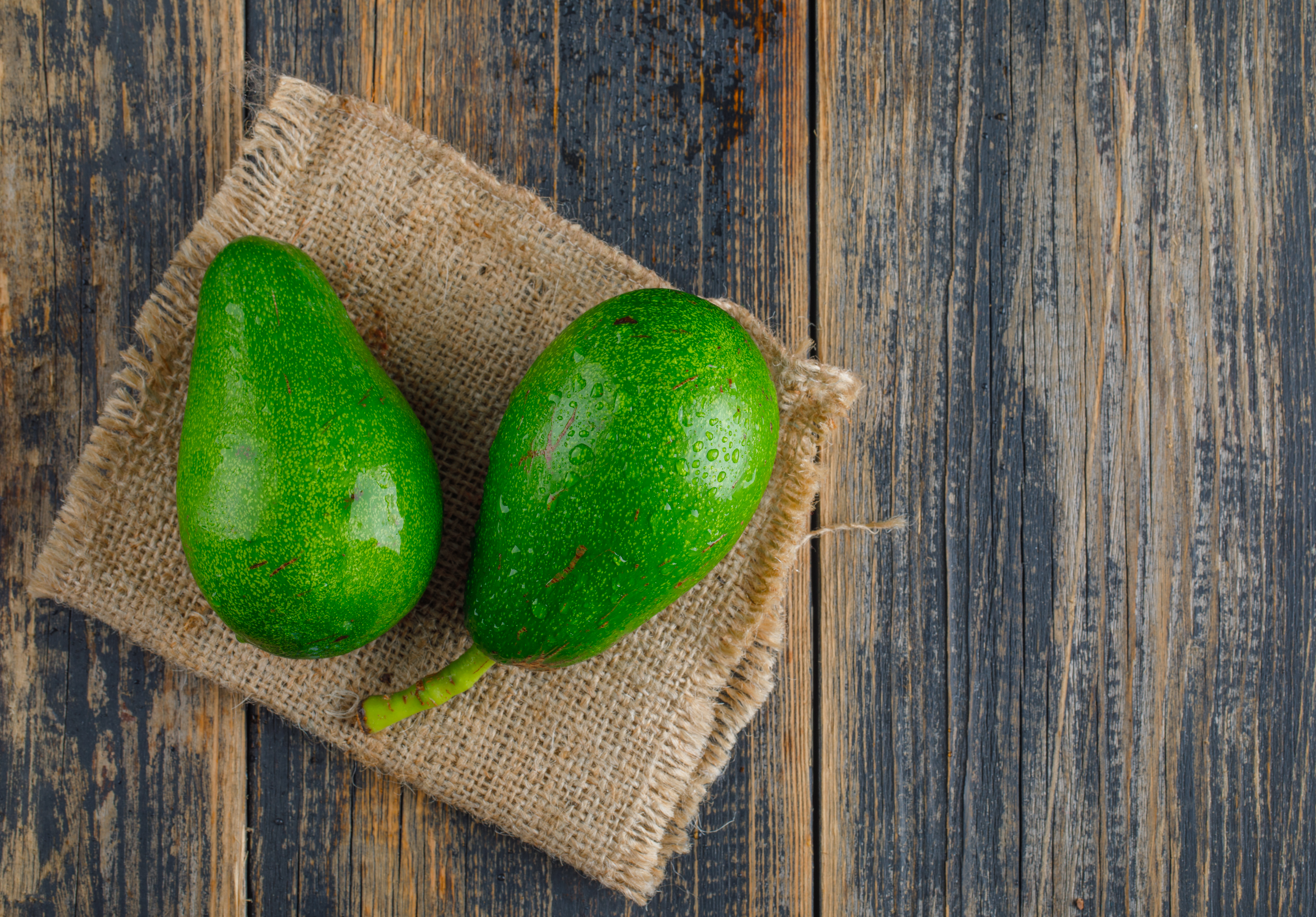 Avocado Market Update (Week 47, Late 2025): Mexico Dominates the U.S., Europe Hits a Low