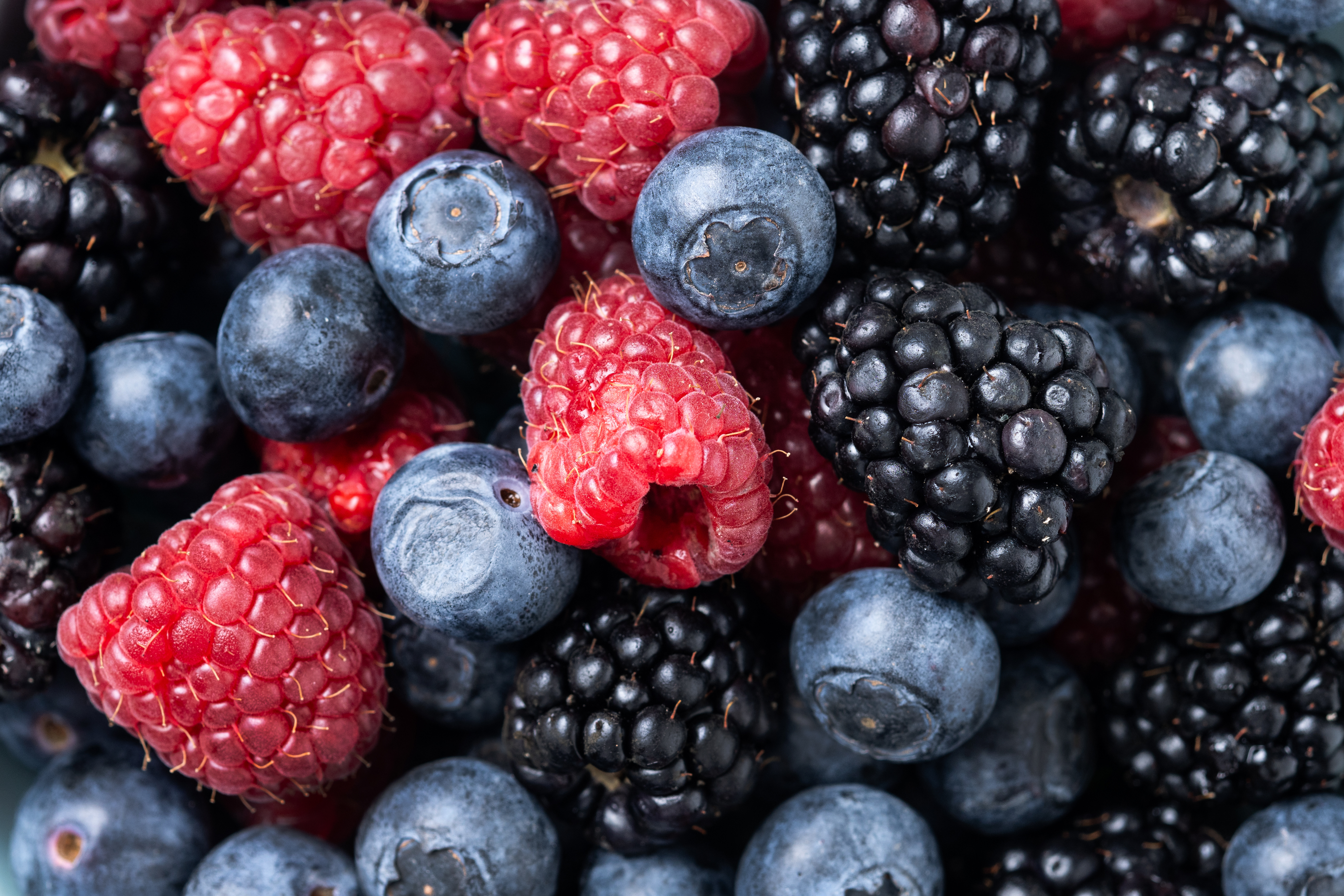 The Berry Import Program Expands