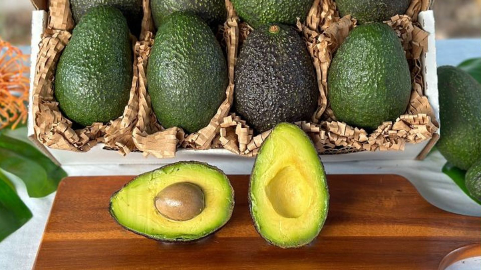 Aperçu du marché mondial de l’avocat : pression sur l’offre en Europe et stabilité en Amérique du Nord